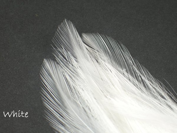 Nature's Spirit Dry Fly Tailing (12 Select Spade Feathers)